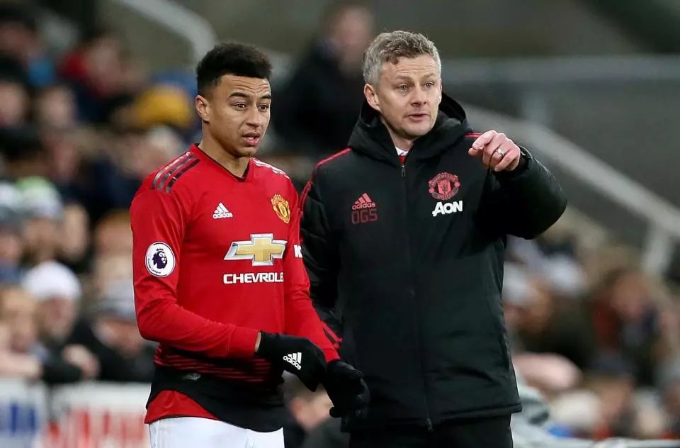 专业素质的 专业素质的